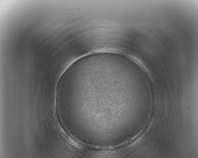 X0000067471228200604142342