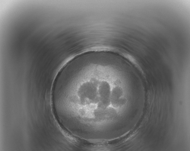 X0000067471229200604142342