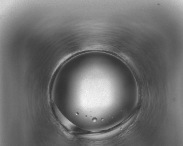 X0000067471230200604142342