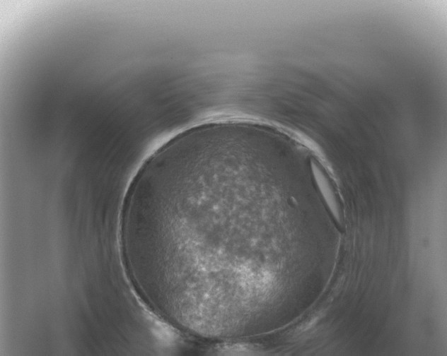 X0000067471231200604142342