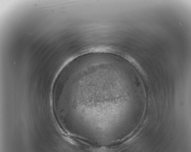 X0000067471232200604142342