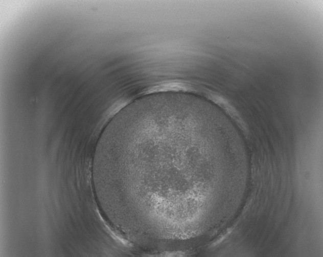 X0000067471233200604142342