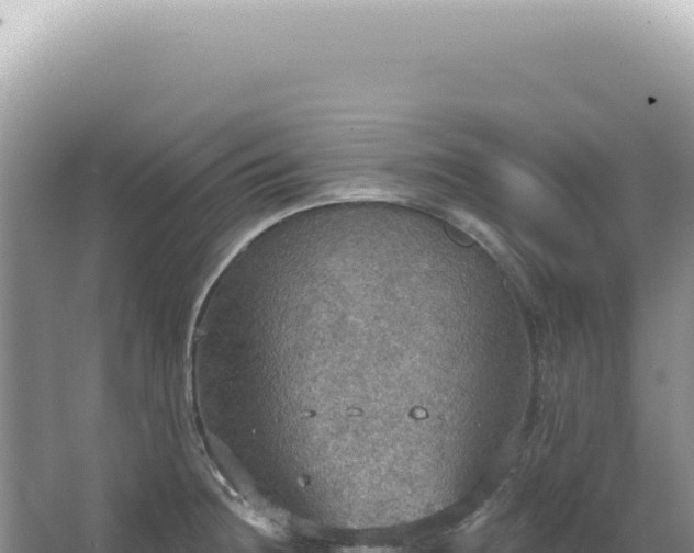 X0000067471236200604142342