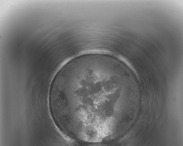 X0000067471237200604142342