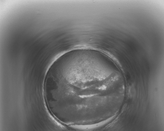 X0000067471239200604142342