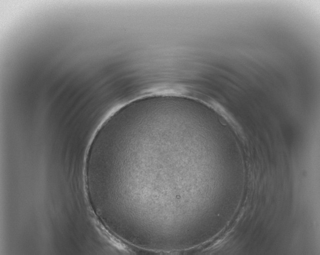 X0000067471240200604142342