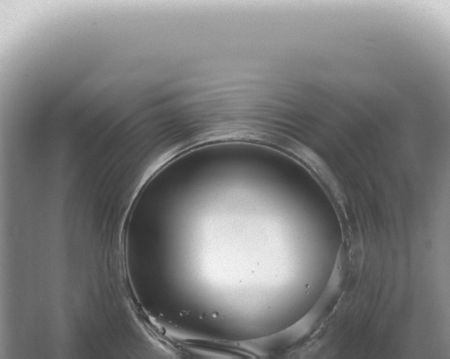 X0000067471242200604142342