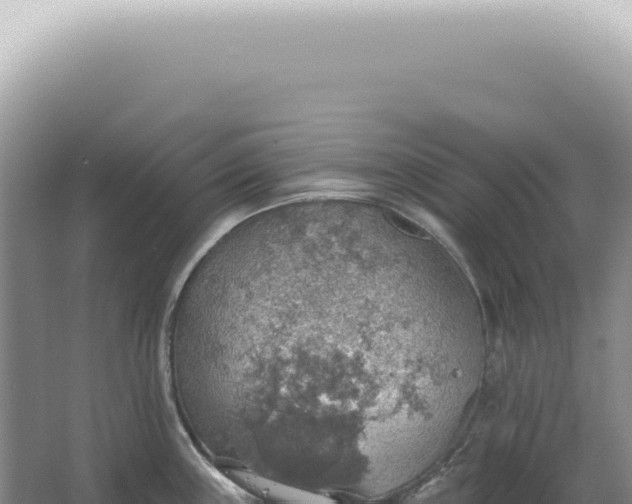 X0000067471243200604142342