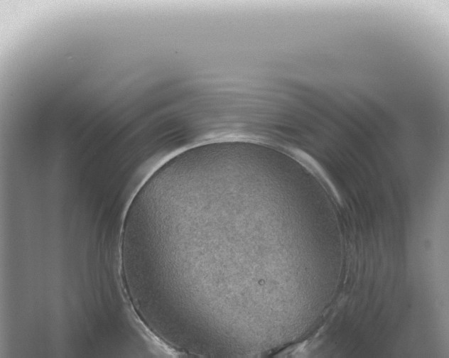 X0000067471244200604142342