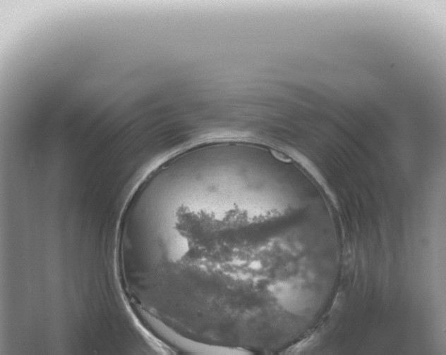 X0000067471245200604142342