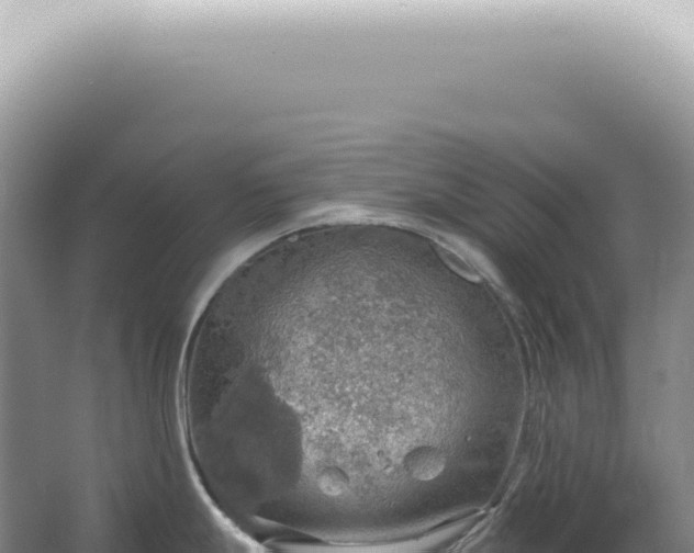 X0000067471247200604142342