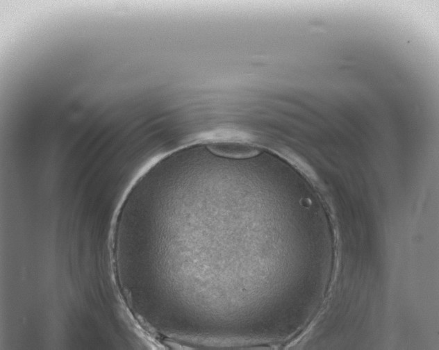 X0000067471248200604142342