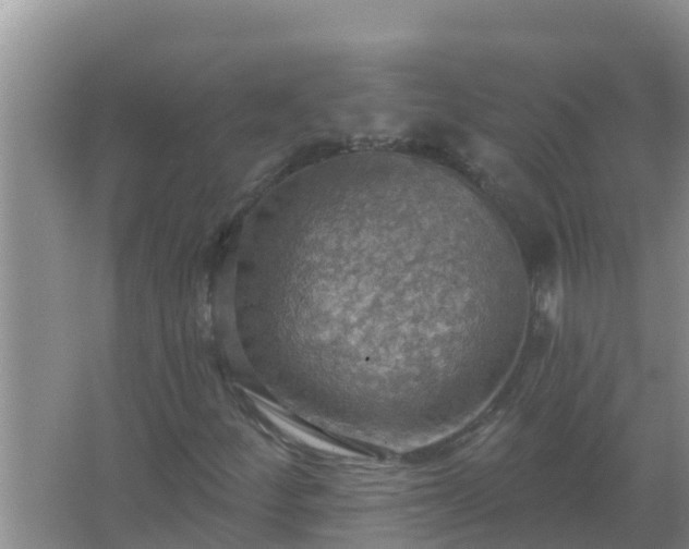 X0000067471252200604142341