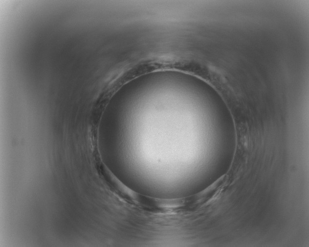 X0000067471253200604142341