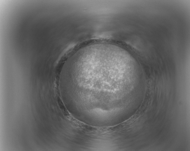 X0000067471254200604142341