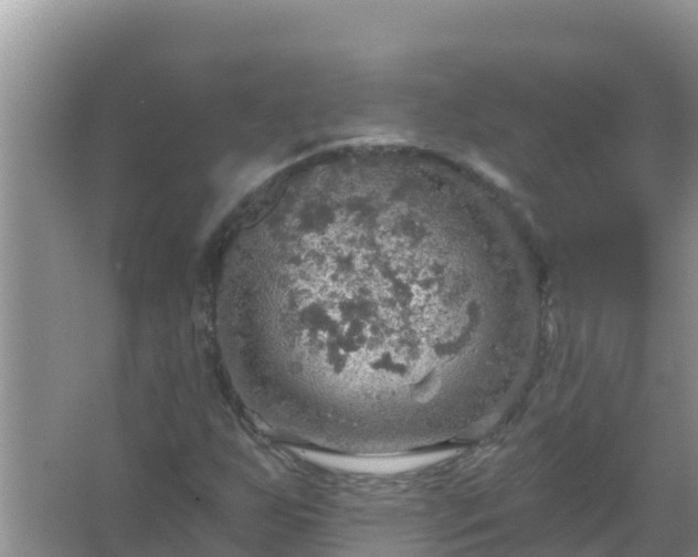 X0000067471255200604142341