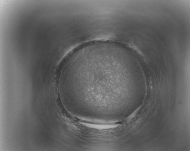 X0000067471256200604142341