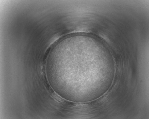 X0000067471258200604142341