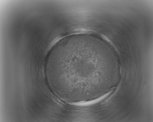 X0000067471259200604142341