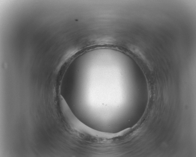 X0000067471261200604142341