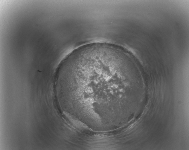 X0000067471263200604142341