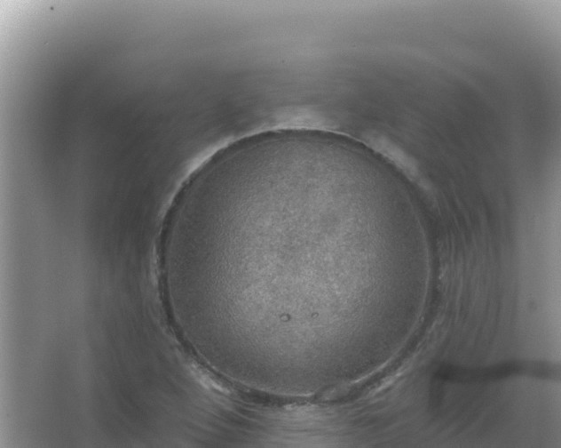 X0000067471264200604142341