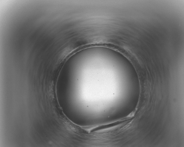 X0000067471265200604142341