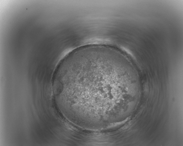 X0000067471267200604142341