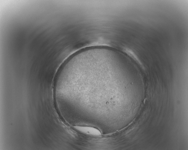 X0000067471268200604142341