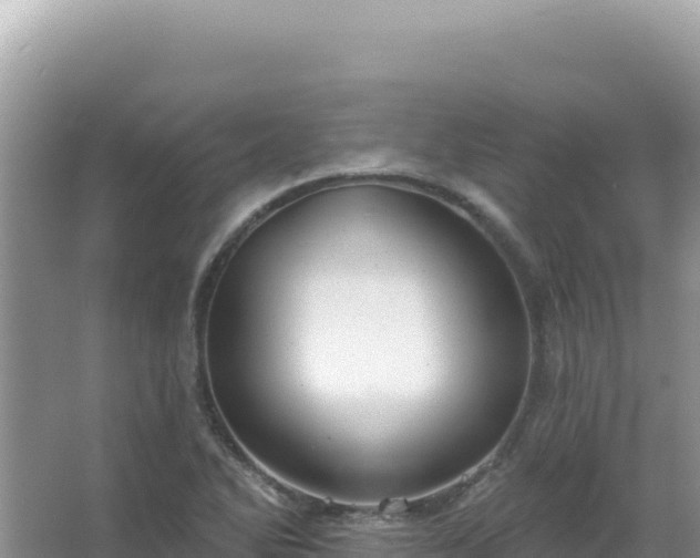 X0000067471270200604142341