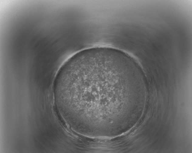 X0000067471271200604142341