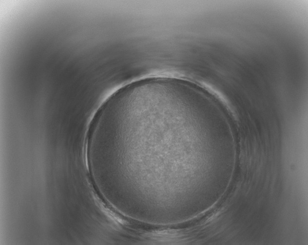 X0000067471272200604142341