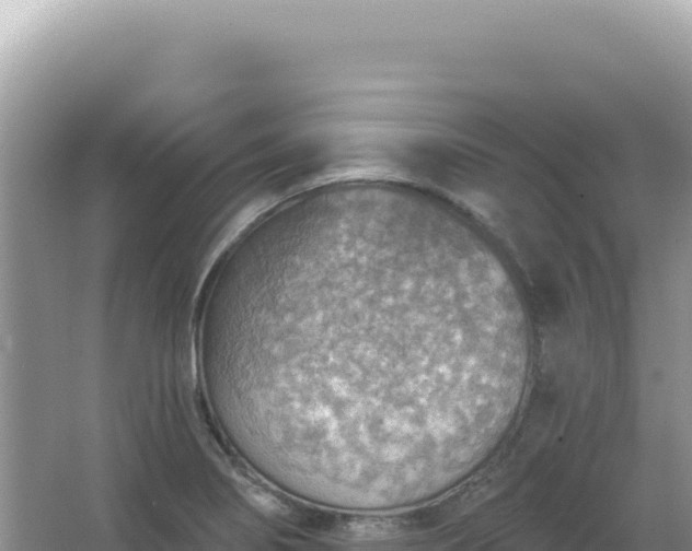 X0000067471274200604142341