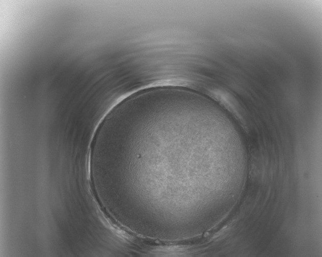 X0000067471276200604142341