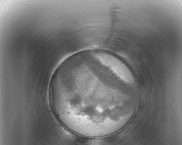 X0000067471278200604142341