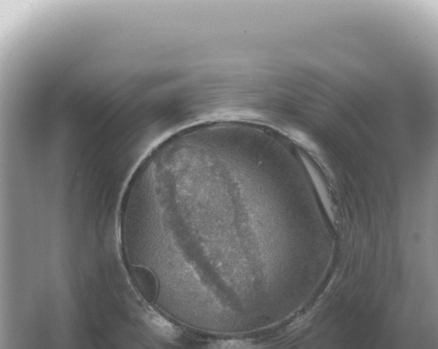 X0000067471280200604142341