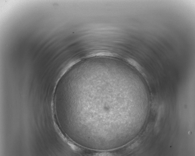 X0000067471282200604142341