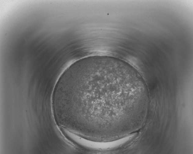 X0000067471283200604142341