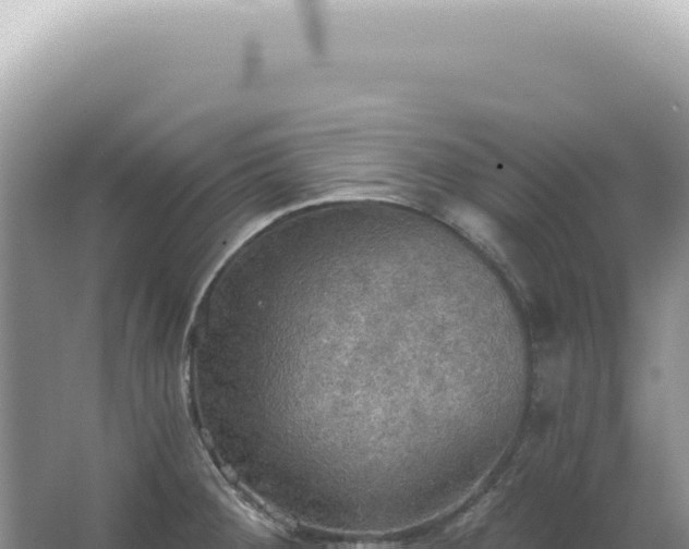 X0000067471284200604142341