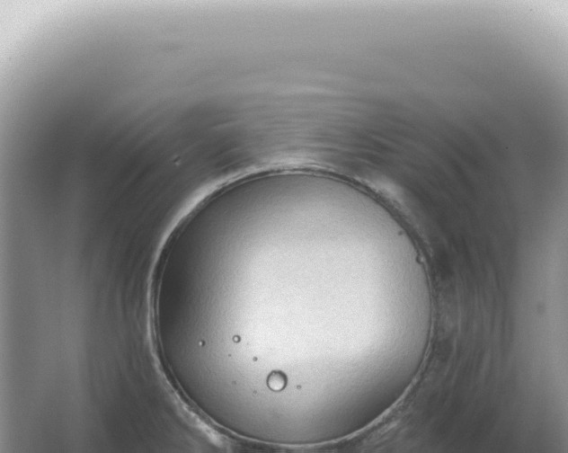 X0000067471286200604142341