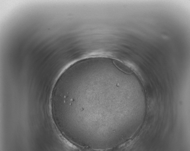 X0000067471288200604142341