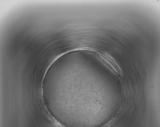 X0000067471292200604142341