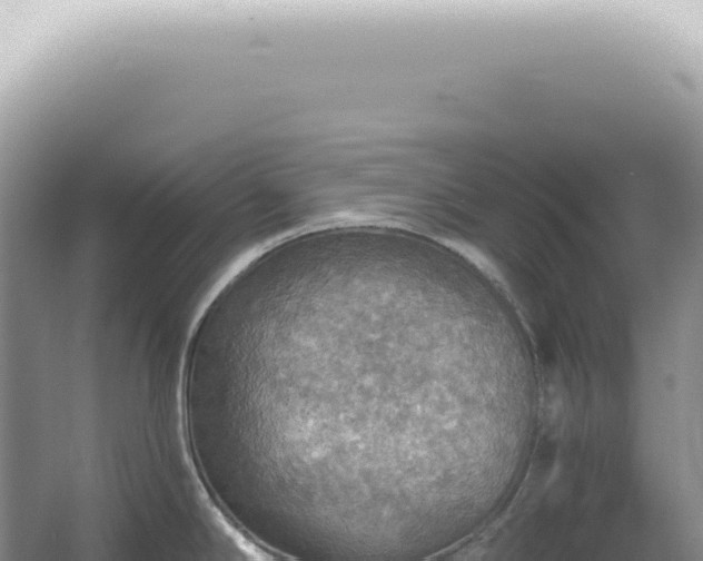 X0000067471294200604142341