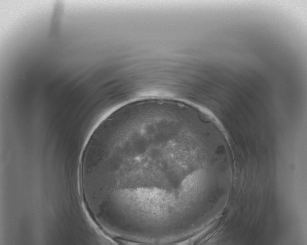 X0000067471295200604142341