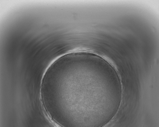 X0000067471296200604142341