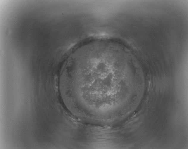 X0000067471301200604142340