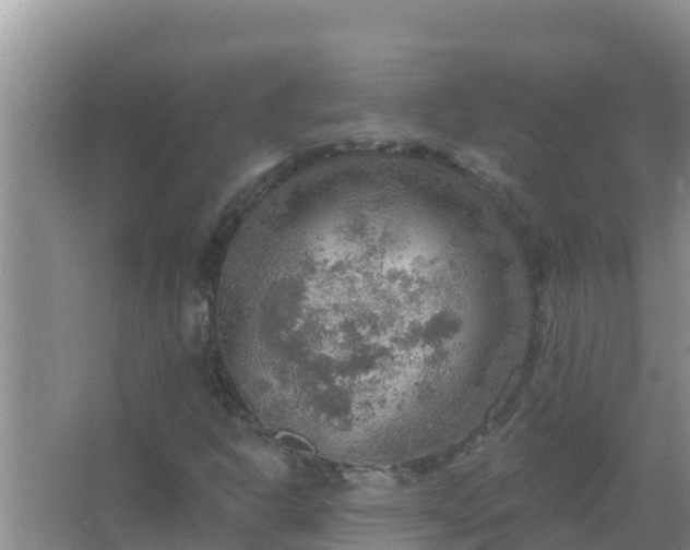 X0000067471302200604142340