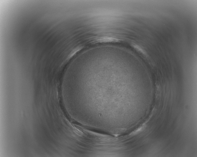 X0000067471305200604142340