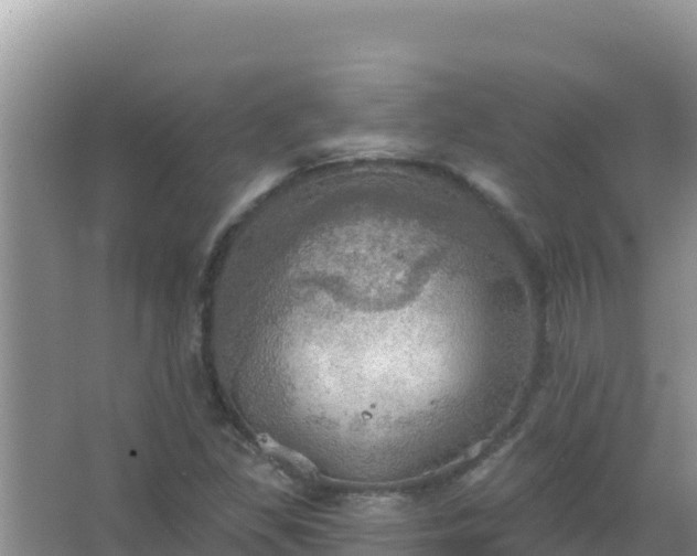 X0000067471309200604142340