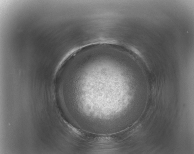 X0000067471310200604142340